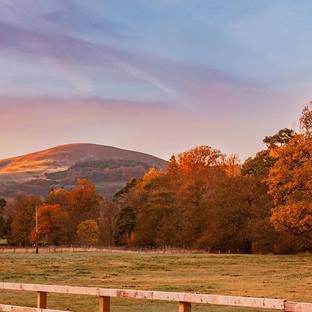 The Secret Hideaway Appartement Penicuik Buitenkant foto